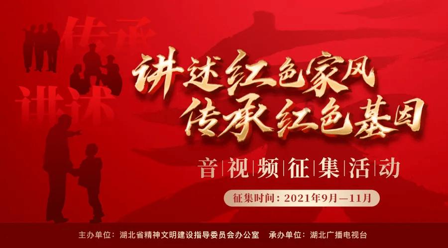 【代表委员履职风采】省人大代表张洁：扎根基层 为民解忧显真情